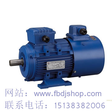 TYBPX变频调速防爆永磁电机.jpg TYBPX变频调速防爆永磁电机.jpg